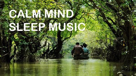 Relaxing Forest Nature Sounds | Music For Stress Relief Calm Mind ...