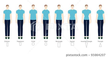 Set of Men body shape types: triangle, column,... - Stock Illustration ...