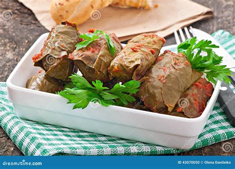 Dolma, Stuffed Grape Leaves Stock Photo - Image of fresh, food: 43070050