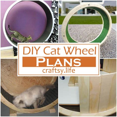 16 DIY Cat Wheel Plans To Make At Home - Craftsy