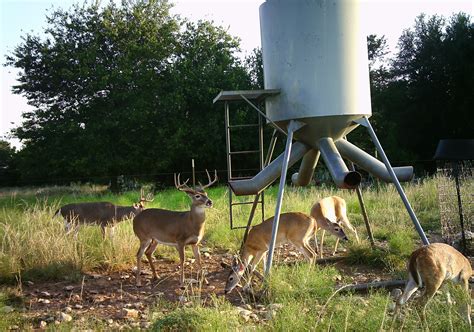 The Basics of Using Deer Feeders | Feed Bandit Podcast | Deer feeders ...