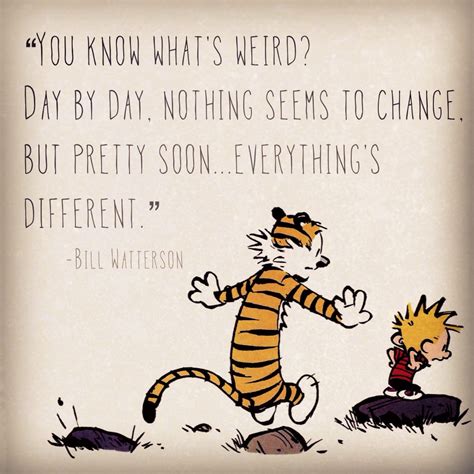 Greatest Calvin And Hobbes Quotes. QuotesGram