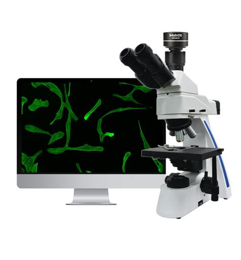 Fluorescence microscope - Hua Guan Lu, Tianhe Qu, Guangzhou Shi ...