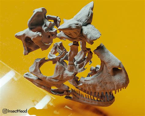 Carnotaurus sastrei skull fossil 3D model 3D printable | CGTrader