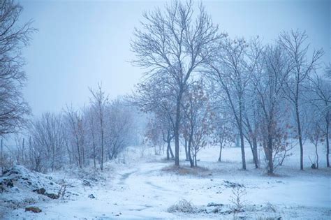 Premium Photo | Winter beautiful landscape armenia