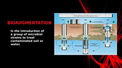 Bioremediation - презентация онлайн