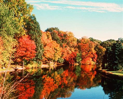 A conservationist's 11 favorite N.J. spots to enjoy fall foliage ...