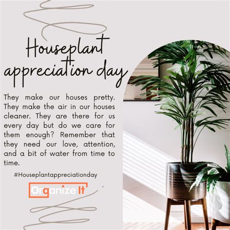 Houseplant Appreciation Day - Organize It | Cleaning | Organizing ...