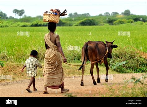 Life, A Village Shot From Tamil Nadu Stock Photo - Alamy