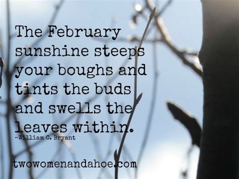 Funny February Quotes And Sayings - ShortQuotes.cc