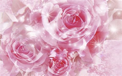 Pretty Pink Roses Wallpaper - Pink (Color) Photo (34590746) - Fanpop