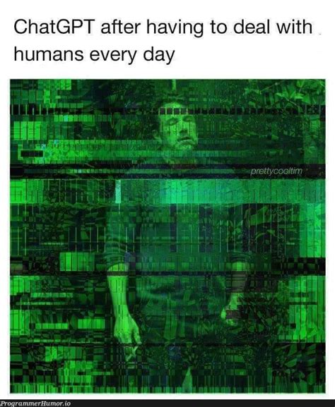 Chat GPT is annoyed – ProgrammerHumor.io