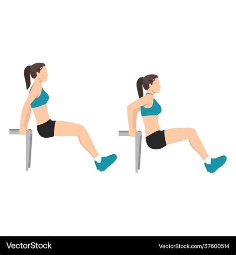 Woman doing bench tricep dips exercise Royalty Free Vector