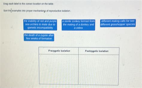 Solved: Drag each label to the correct location on the table. Sont the ...