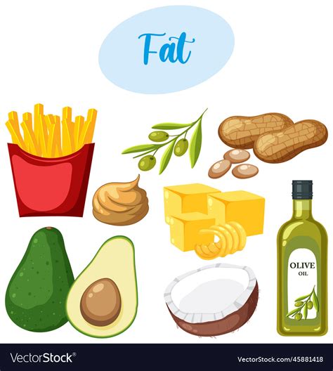 Variety of fat foods Royalty Free Vector Image