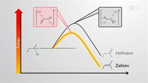 E2 Reaction: Regiochemistry and Stereochemistry | Organic Chemistry | JoVe