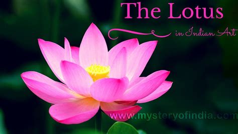 The Lotus in Indian Art | Mystery of India