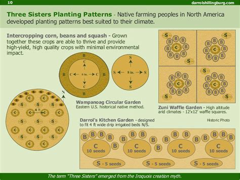 Intercropping | Planting plan, Three sisters, Garden planning