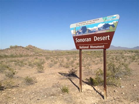 Sonoran Desert National Monument | National monuments, Sonoran desert ...