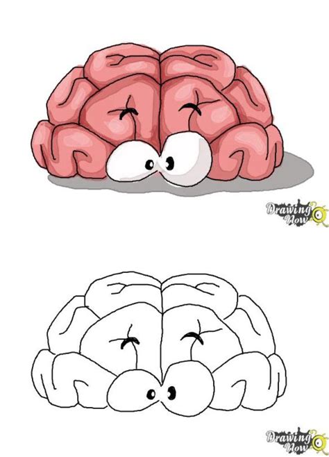 Brain Cartoon Drawing