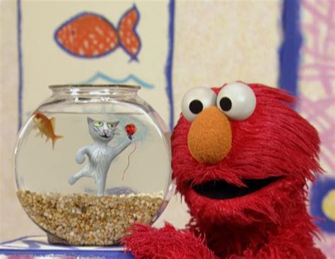 Elmo's World: Cats - Muppet Wiki