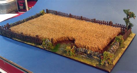 Wargaming terrain: building a field - Wargames Romania | Wargaming ...