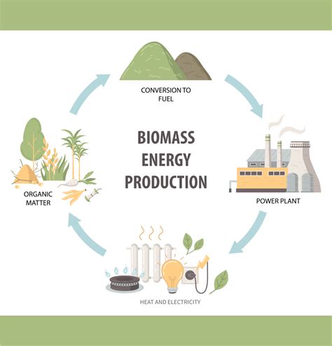 Biomass Plant