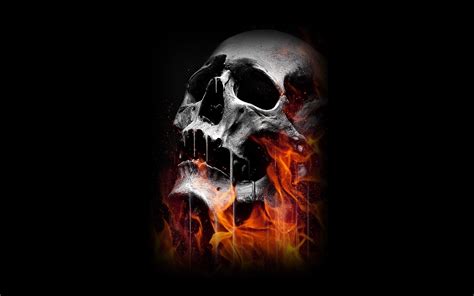 Skull Wallpapers - 4k, HD Skull Backgrounds on WallpaperBat