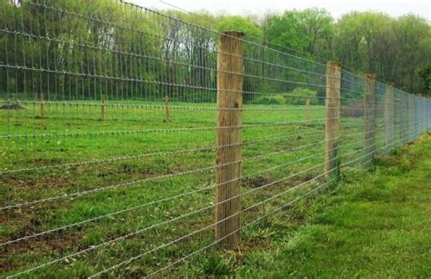 Types Of Metal Wire Fencing - Design Talk