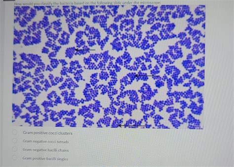 Solved How would you classify the bacteria based on the | Chegg.com