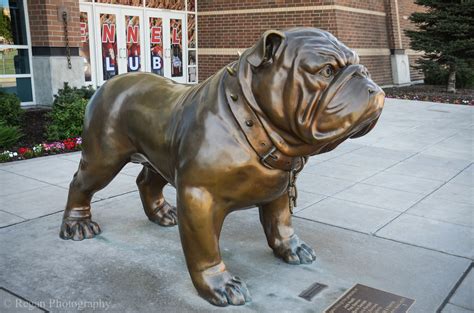 Gonzaga Mascot | The Gonzaga Bulldogs (also known unofficial… | Flickr