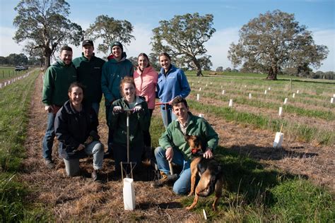 Forest farming means seeing forest from trees | Mirage News