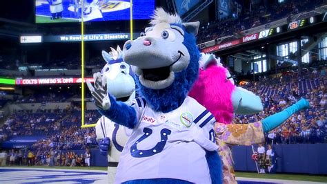 Indianapolis Colts Blue Mascot