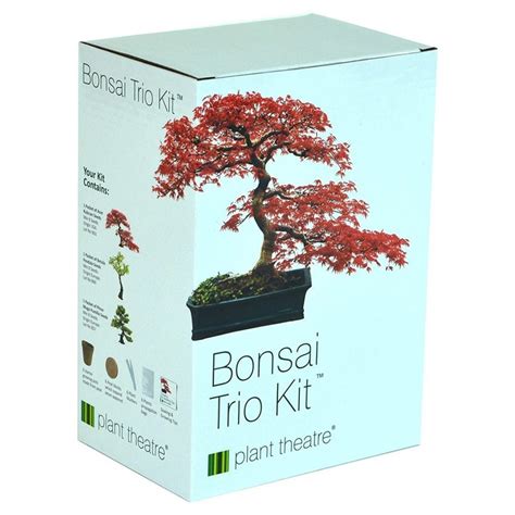 Amazing Bonsai Tree Kit Hobby Lobby in the world Don t miss out | leafyzen