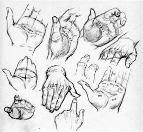 Simple Hand Drawing References Any how i m sure you guys can use it for ...