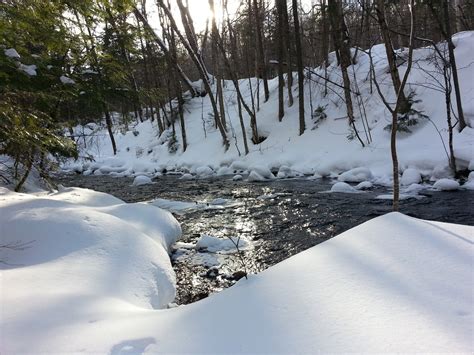 River In Winter Free Stock Photo - Public Domain Pictures