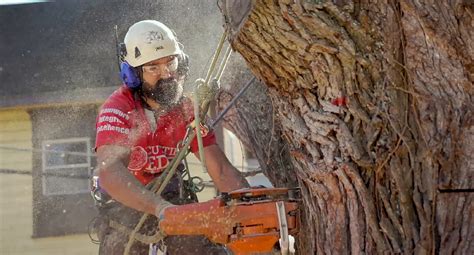 Arborist Equipment - Cutting Edge Tree Professionals