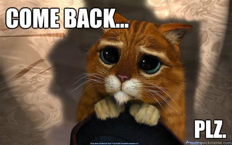 come back... plz. - Sad cat - quickmeme