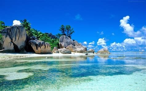 Free photo: Blue ocean beach - Beach, Sand, Panoramic - Free Download ...