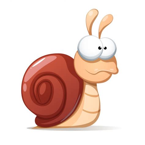 Turbo Snail Vector at GetDrawings | Free download