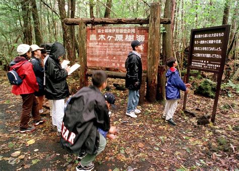 Logan Paul controversy: What is Aokigahara, Japan's 'suicide forest ...