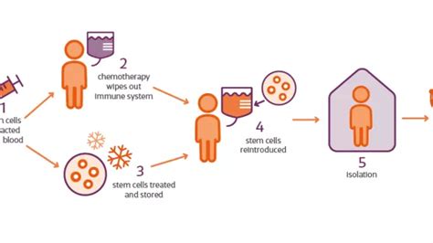 7 things you need to know about HSCT | MS Society