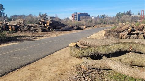 Petition · STOP removal of trees: Sacramento American River Parkway. No ...