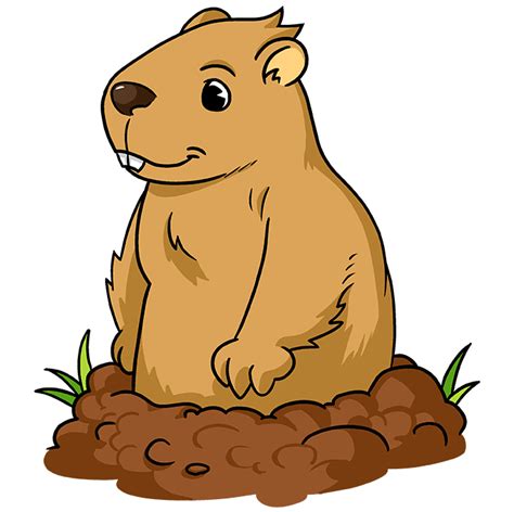 How to Draw a Groundhog - Really Easy Drawing Tutorial