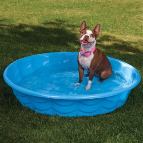 Summer Escapes 4ft Tough Rigid Dog Bath Paddling Pool Sand Pit Duck ...