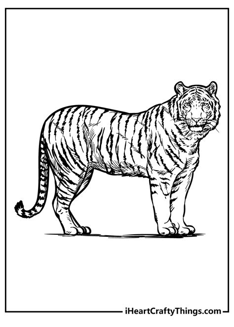 Free Printable Zoo Animal Coloring Pages - Printable Templates Free