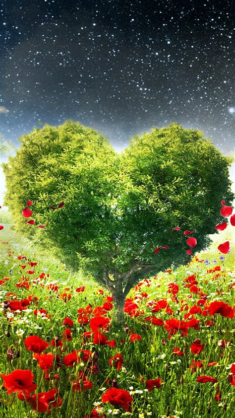 Hearts In Nature Wallpaper