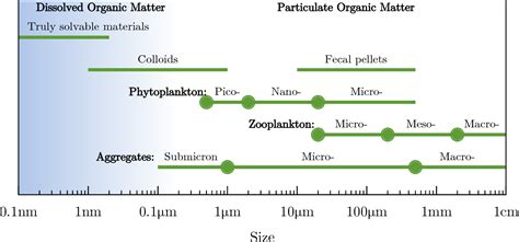 Figure 1 from Phytoplankton : Pico-Nano-Micro-Zooplankton : Micro-Meso ...