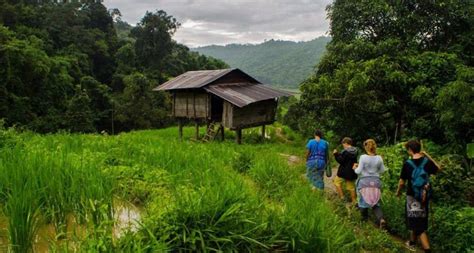 Chiang Mai rice terraces tour | Chiang Mai trekking