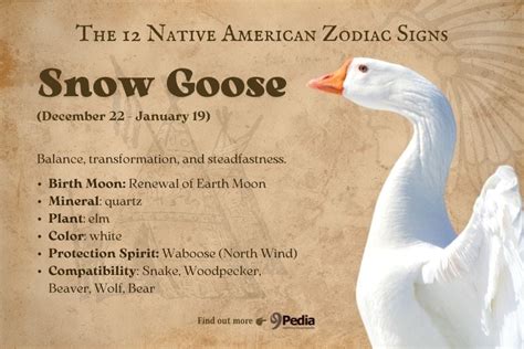 12 Magical Native American Zodiac Signs - What's YOUR Sign?